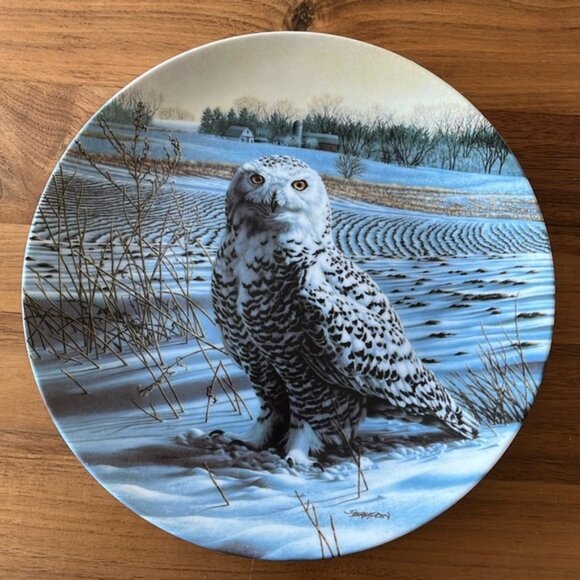 VINTAGE 1989 Knowles Limited Edition Collector Plate Snowy Owl by Jim Beaudoin - Picture 1 of 6